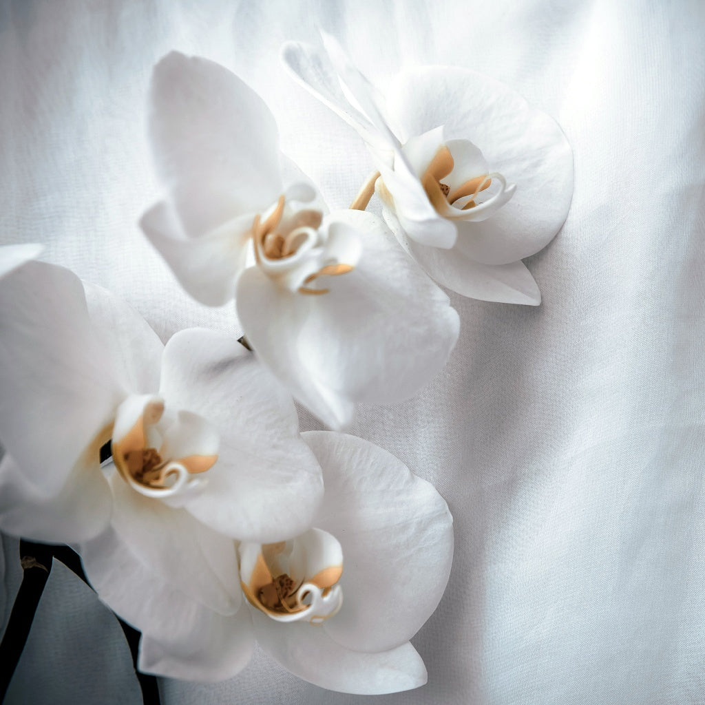 Bianco Signature Pure Soy Candle