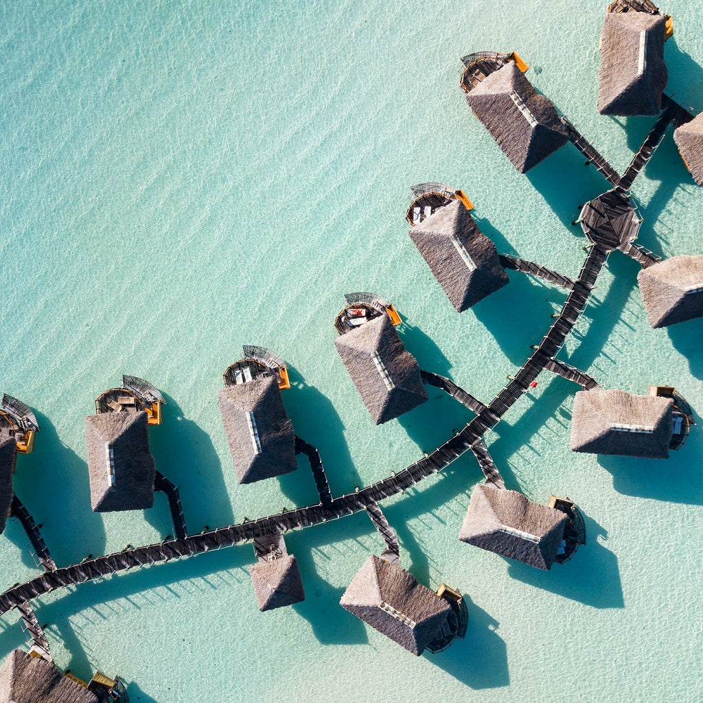 Coconut Lime Aroma Shower Steamer Tablet Gift Bag I 4 Tablets