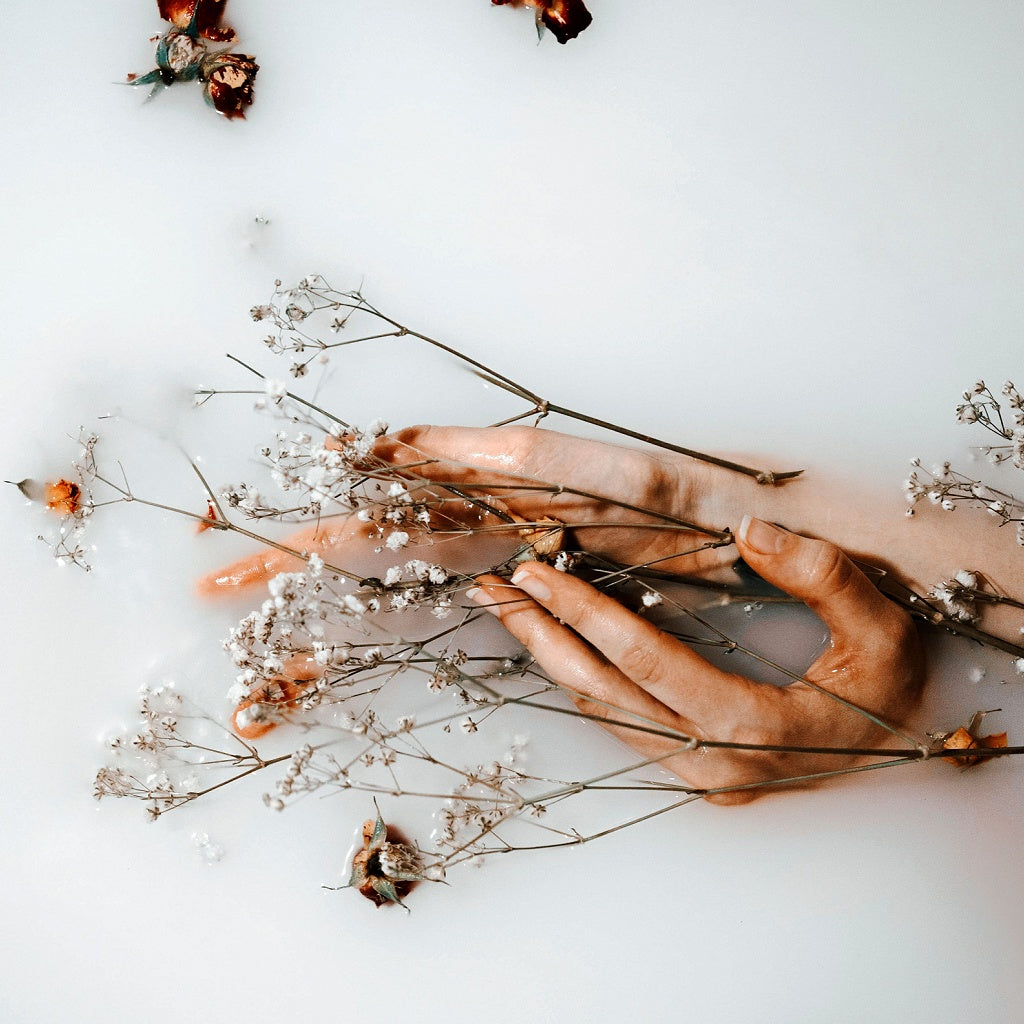 Paloma Beach I French Herbal Lavender La Purita Botanical Bath Bomb