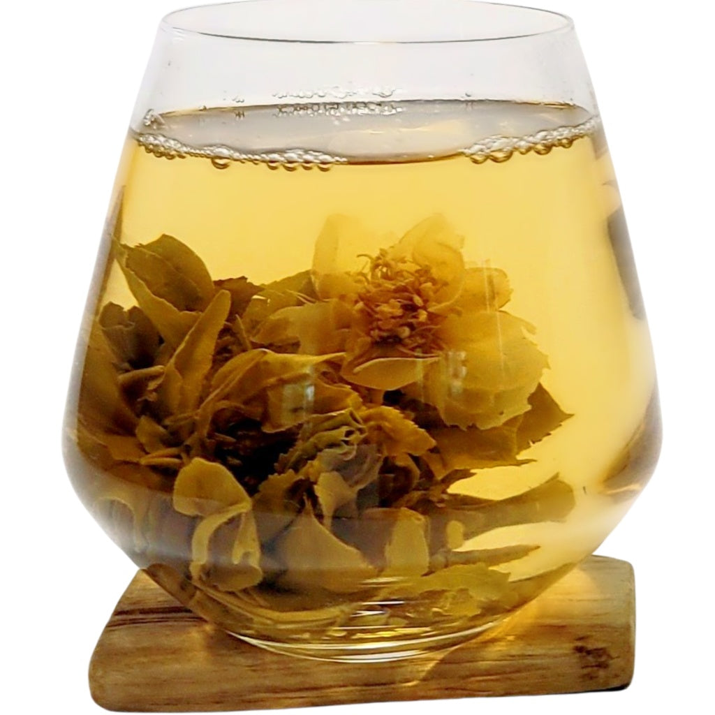 The Exotic Flower Blooming Tea Collection