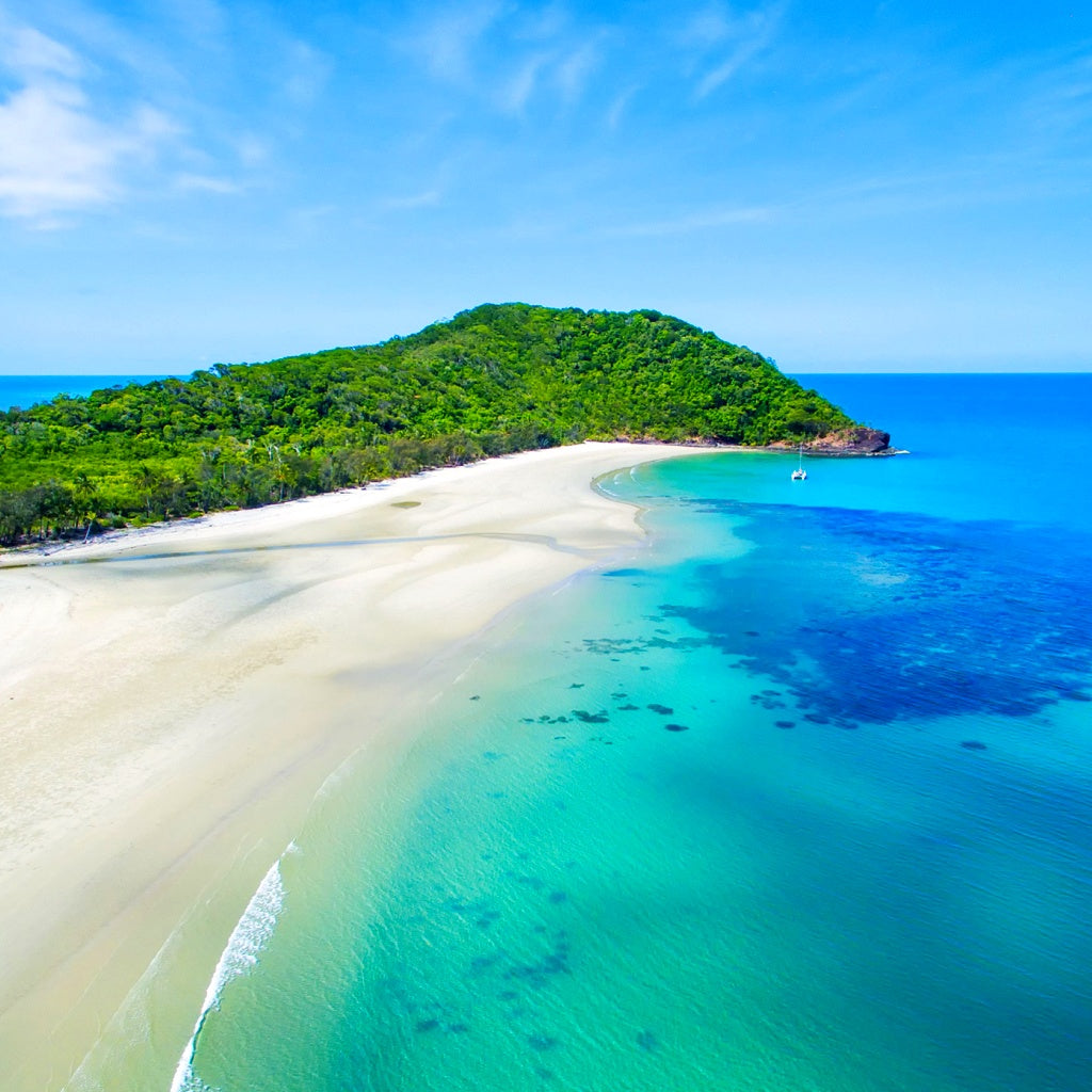 Cape Tribulation Daintree Australian Signature Pure Soy Melt I Coastal Sea Air
