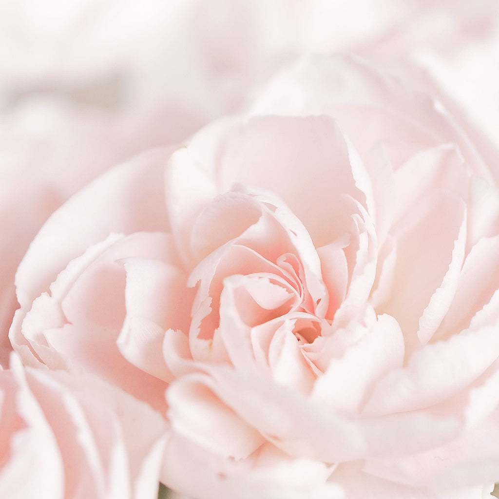 Anxiety Stress Energy Healing Body Cream