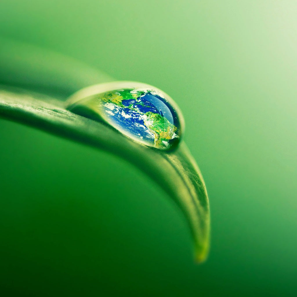 OxyGEN Mi-Cellular Oil Cleanse I Make Up Remover