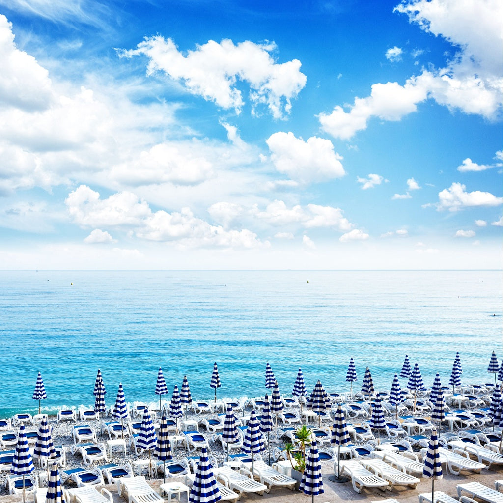 Coco Beach Signature Hanging Diffuser