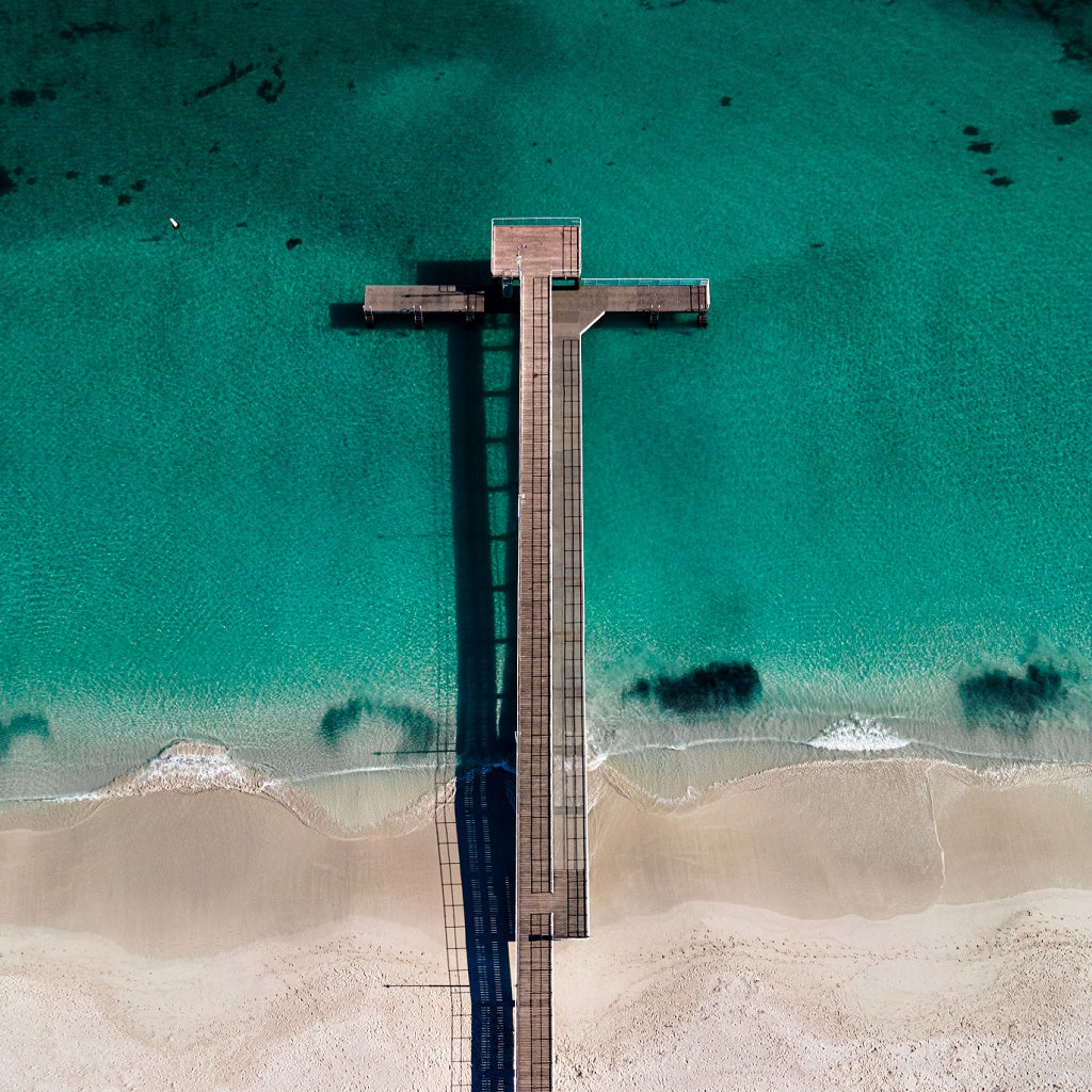 Coogee Beach Perth Australian Signature Diffuser Oil I Coastal Floral