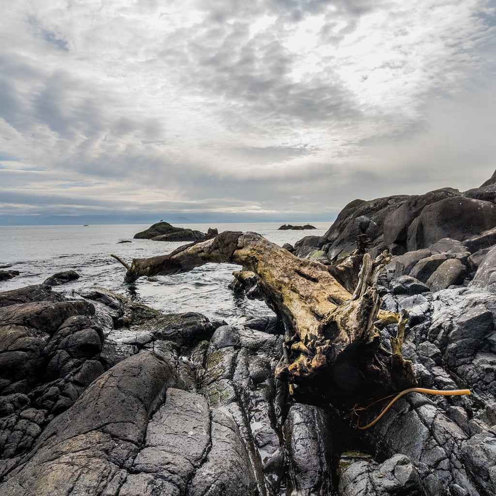 Bay of Fires Larapuna Australian Signature Diffuser Oil I Coastal Sea Air