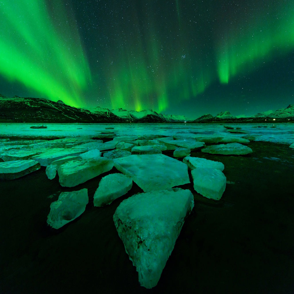 Emotional Rescue Vibrational Energy Oral Essence