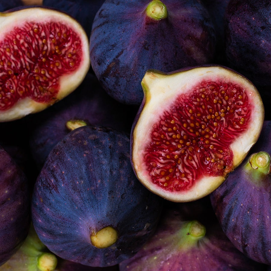 Paloma Beach I French Herbal Lavender La Purita Botanical Bath Bomb