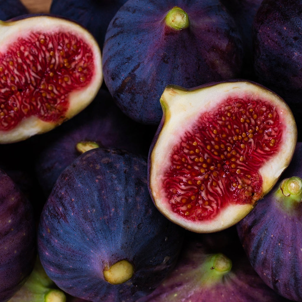 Omega C Plant Collagen Deep Skin Treatment I Concentrated Botanicals