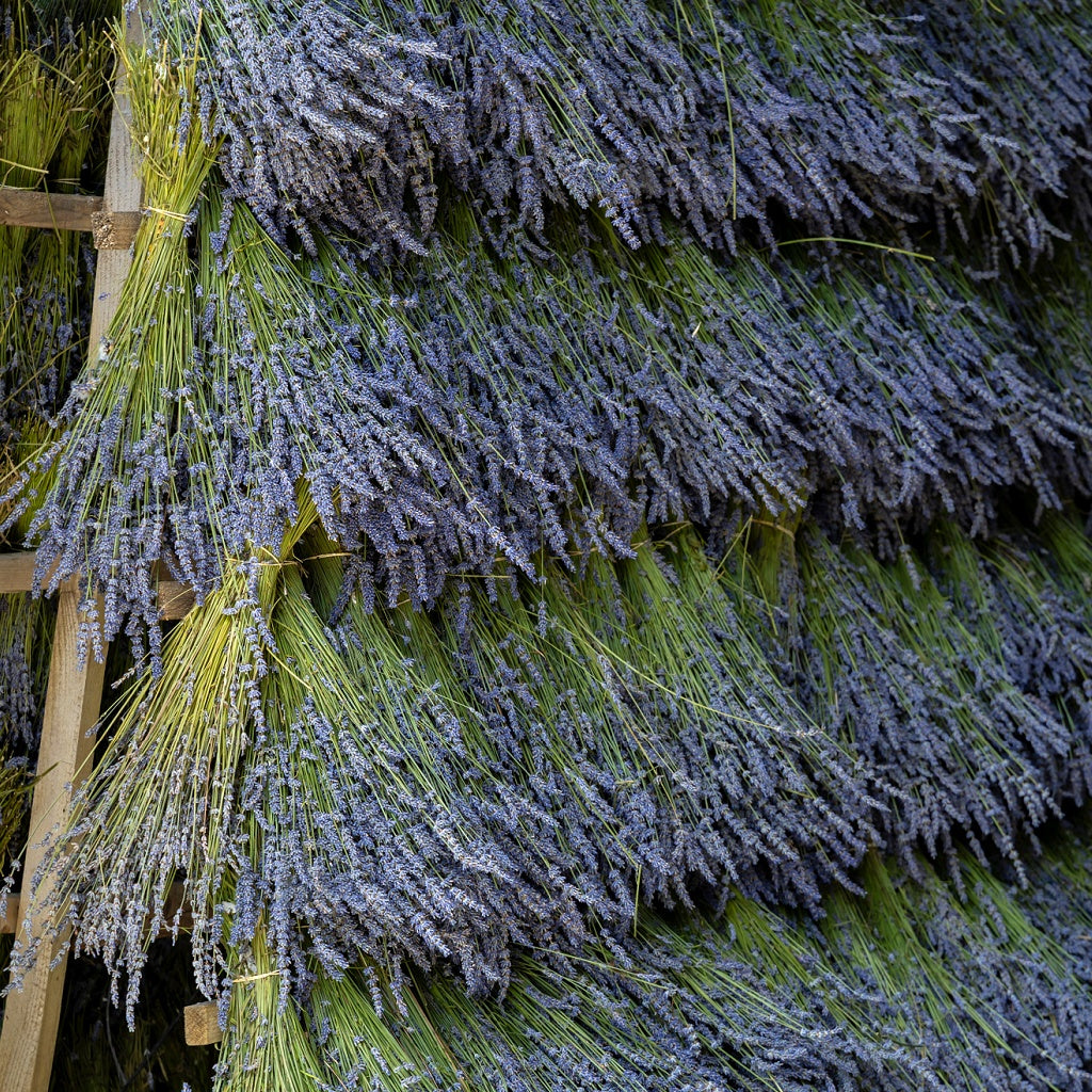 French Lavender Sandalwood Luxury Perfume Roll On