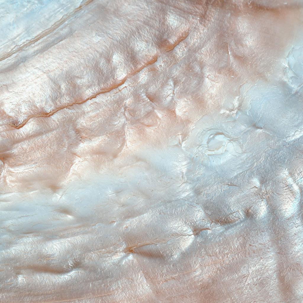 Silk Pearl Collagen Lustruous Night Treatment Essence