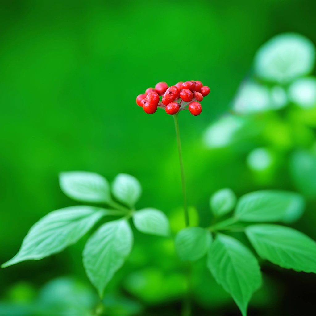 Solta + Suede Man Juvenate8 Aftershave I Face I Body Lotion