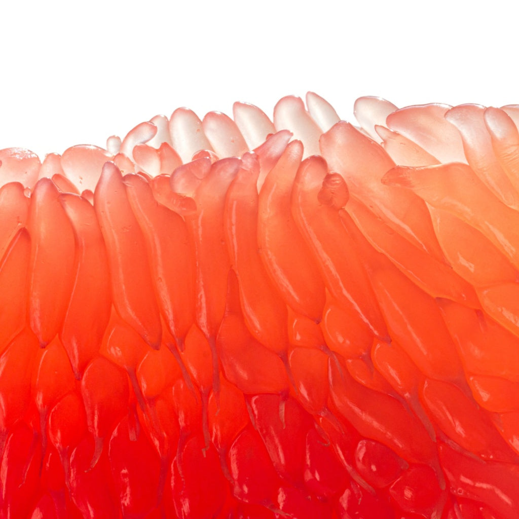 Omega Rice Protein+Bright Skin Cleanse I Exfoliate I Purify I Tone