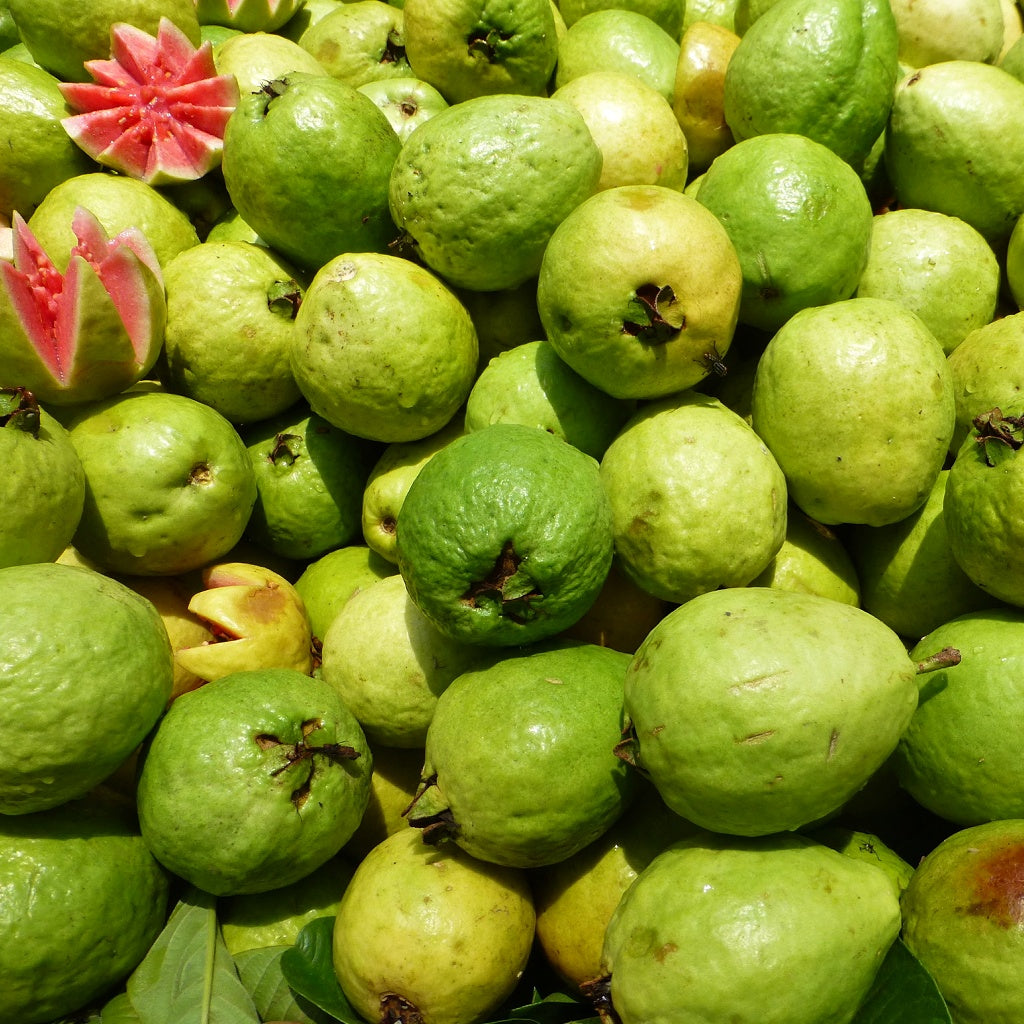 La Purita Botanical Volume All-In-One Leave In Conditioner I Fine Hair