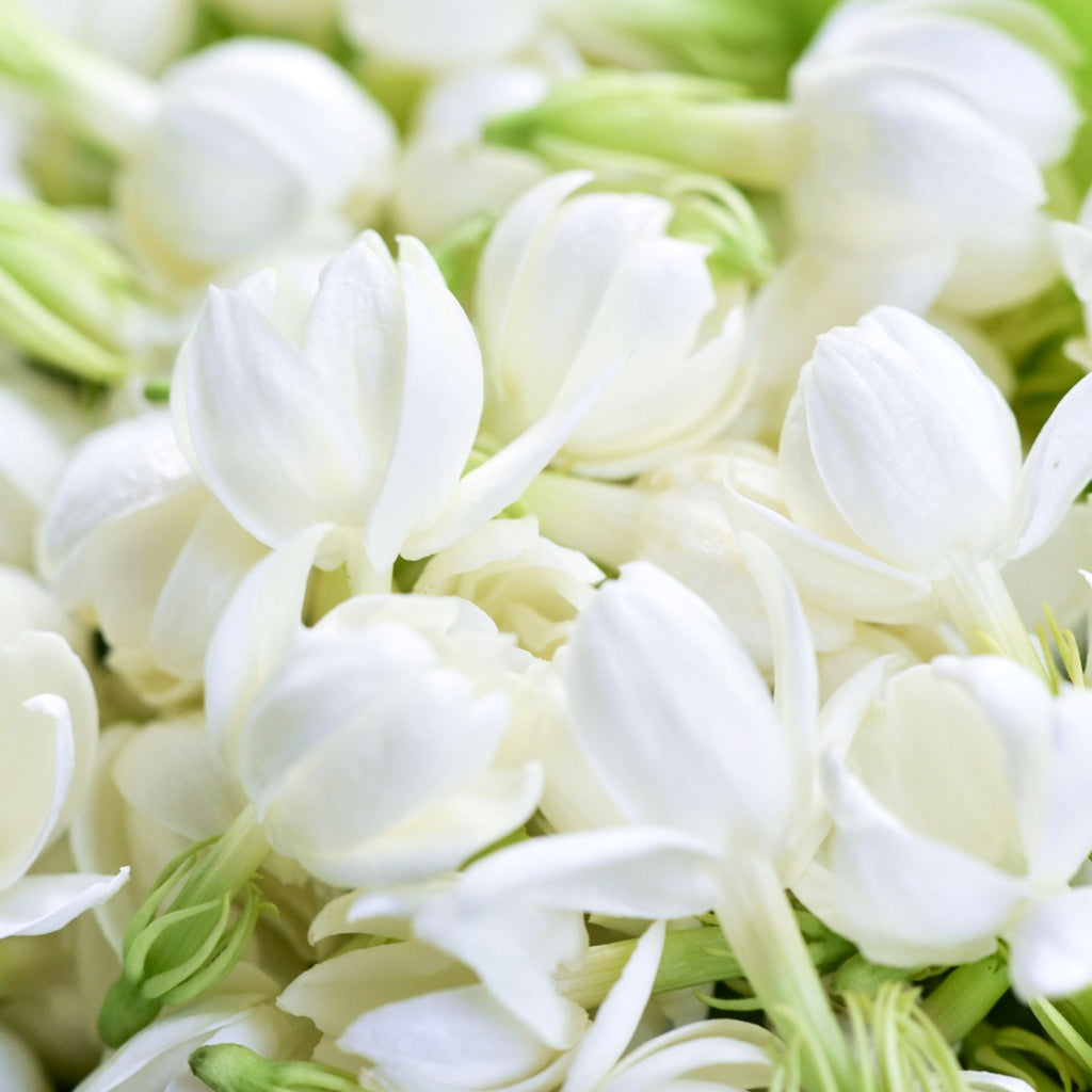 Wildflowers Blooming Pilbara Australian Signature Diffuser Oil I Outback Floral