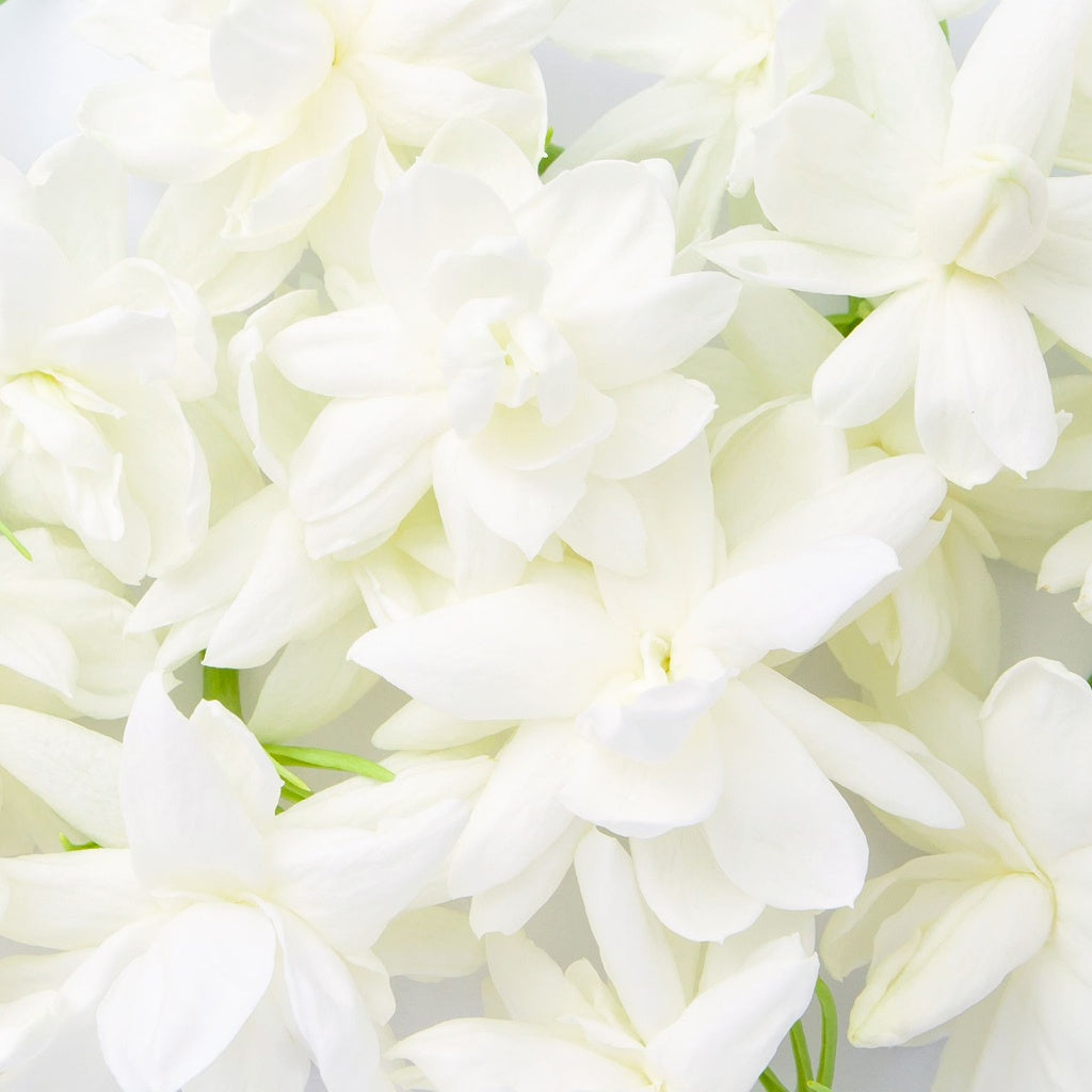 Pink Musk Signature Diffuser Oil