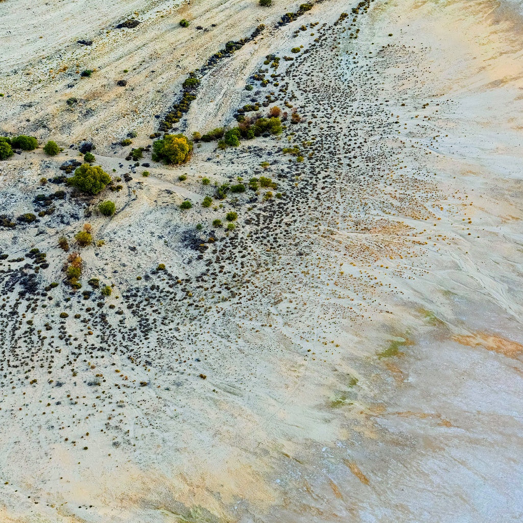 Kati Thanda Salt Lake Eyre Australian Signature Pure Soy Candle I Outback Floral