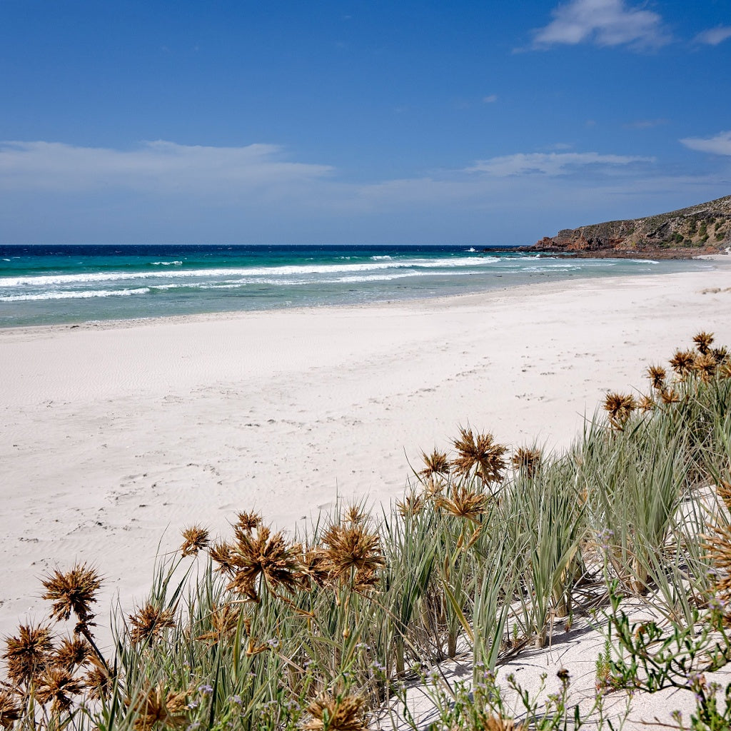 King George Beach Kangaroo Island Australian Signature Pure Soy Melt I Hinterland Spa