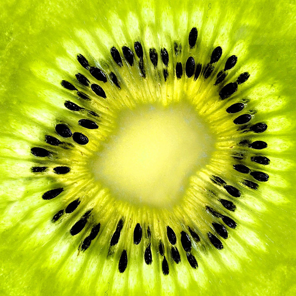 Botox Plant Micro Circulation Serum Oil Essence