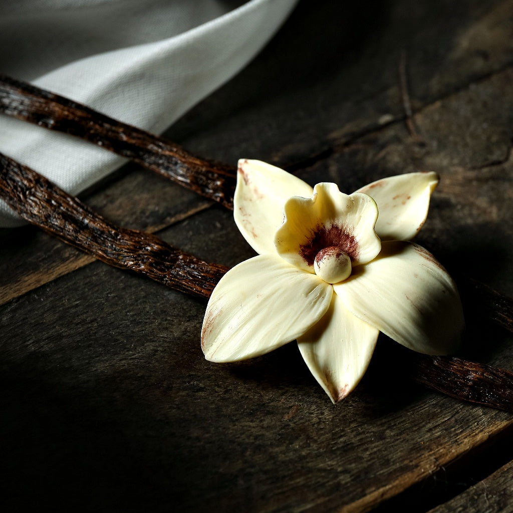 Luxury Vanilla Signature Diffuser Oil