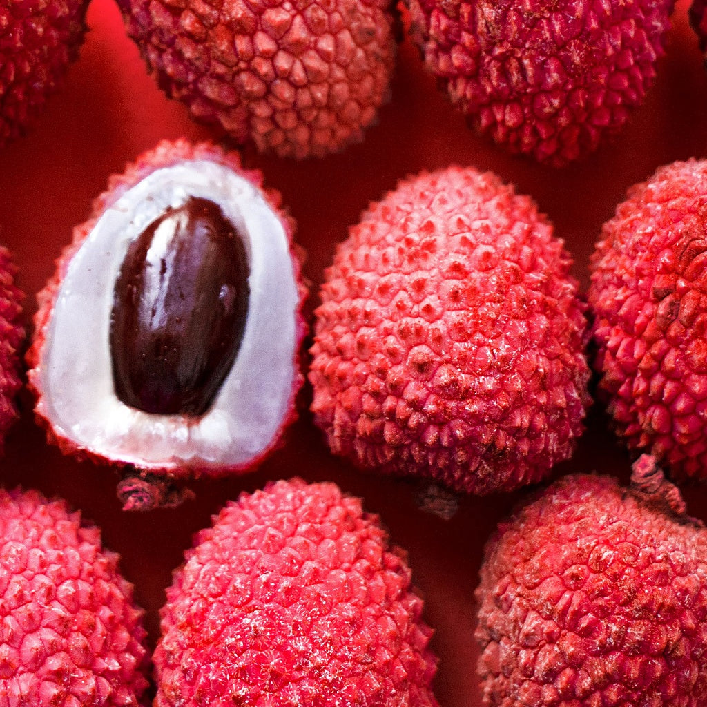 Saint Jean Signature Hanging Diffuser