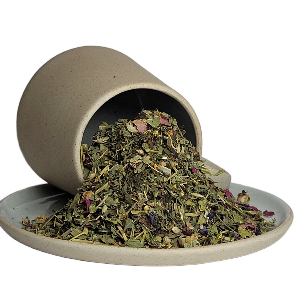 Lymphatic I Immune Boost Organic Botanical Tea