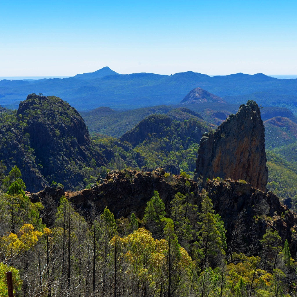 Milky Way at The Dark Sky Park Australian Signature Pure Soy Candle I Outback Night Elements