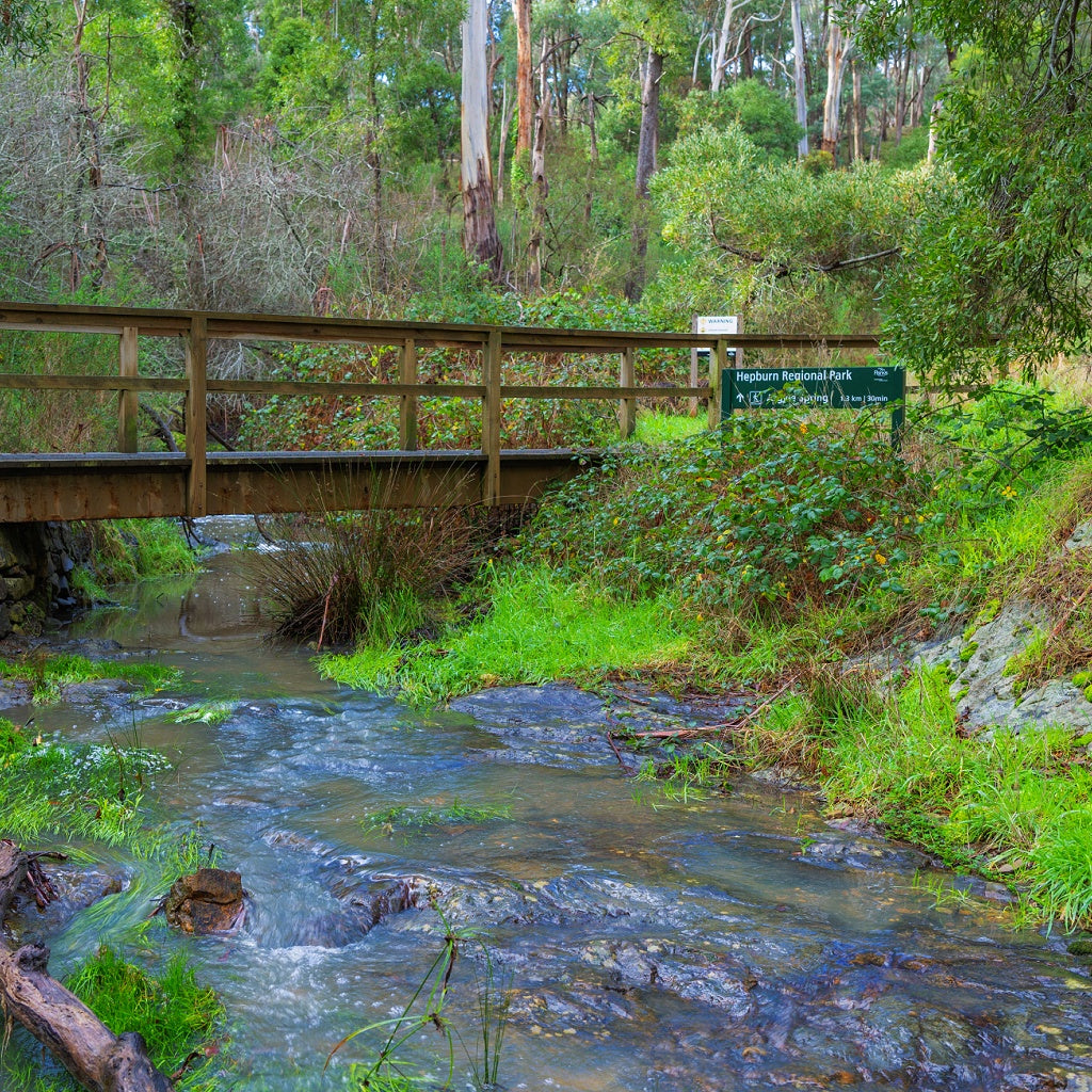 Australian Native Home Aroma and Shower Collection Gift Box I Sample Pack