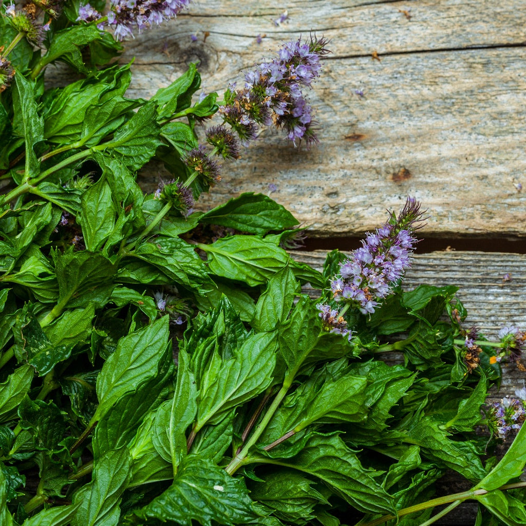 Myo Signature Diffuser Oil