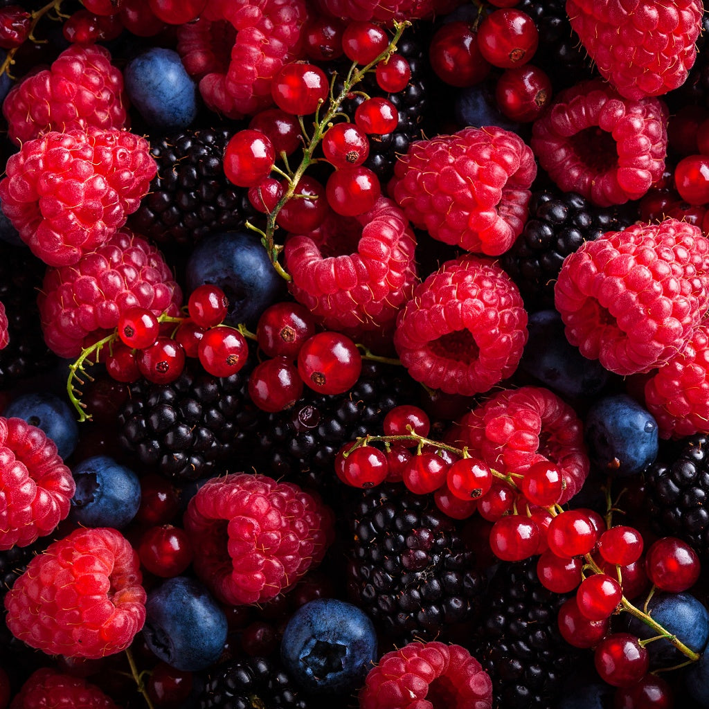 UV Cellular DNA Deep Skin Treatment I Concentrated Botanicals