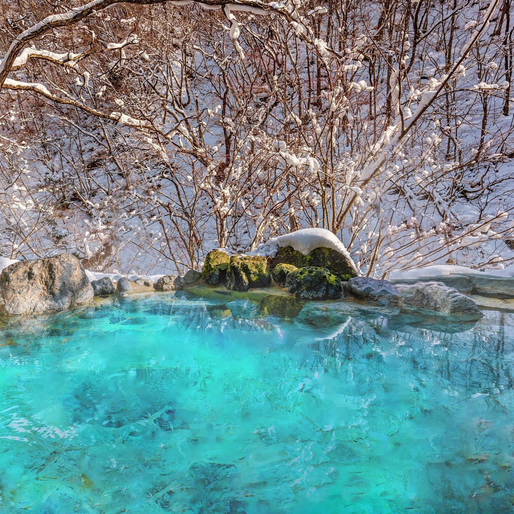 Mizu SPA I Magnolia Signature Pure Soy Candle