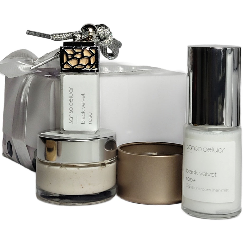 Ultimate Luxurious Elegance Collection Gift Box I Sample Pack