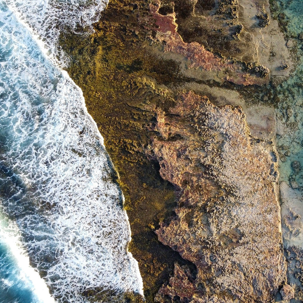Ningaloo Reef Coral Bay Australian Signature Diffuser Oil I Coastal Sea Air