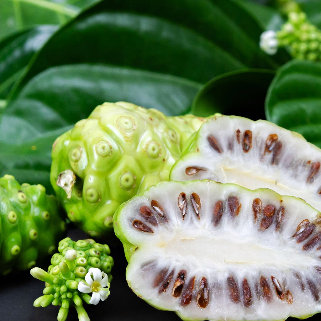 Almond Milk I Pomegranate Optimum Luxurious Soap Bar