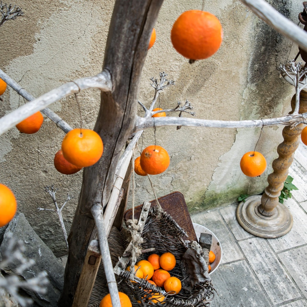 Cookies and Milk Luxury Reed Diffuser Refill