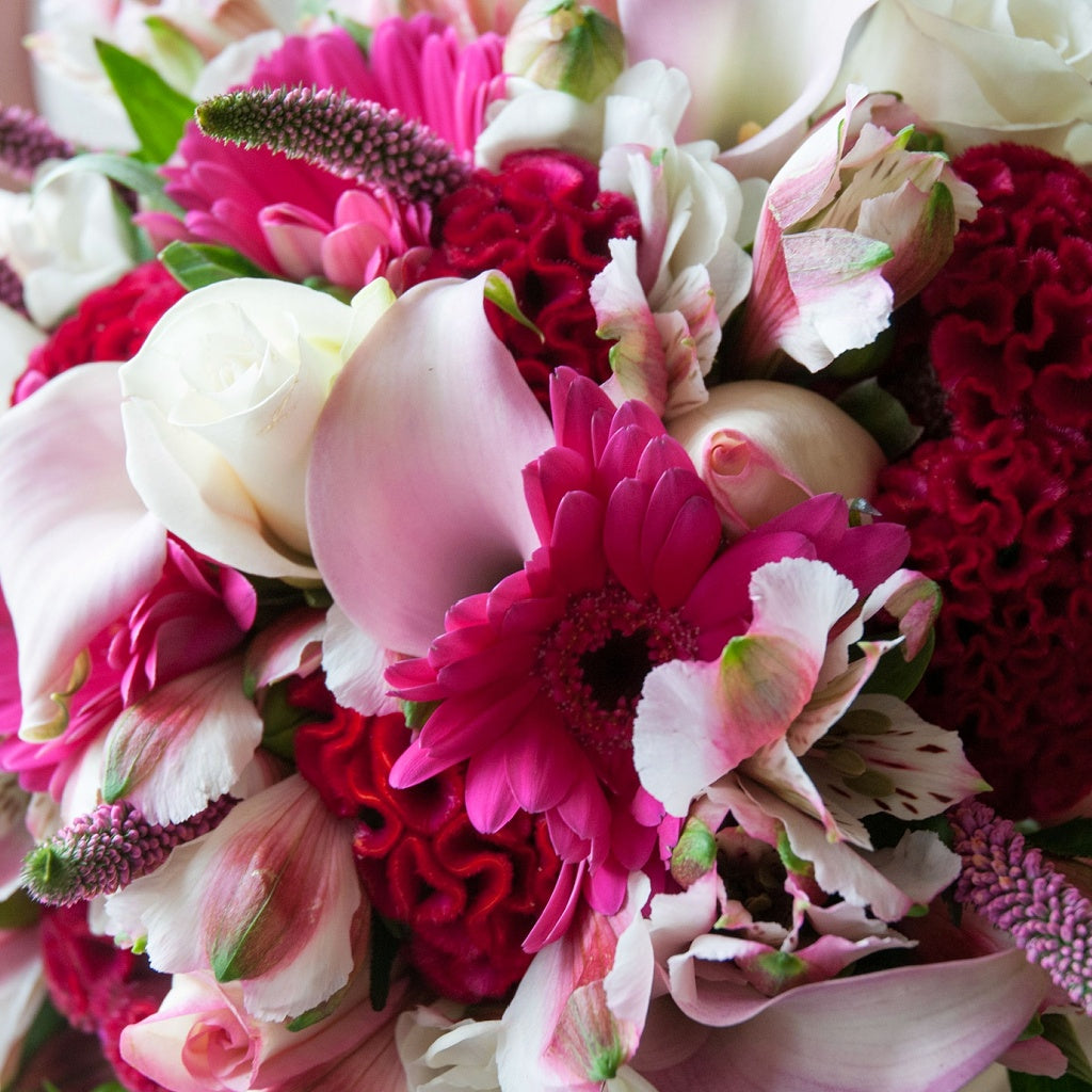 Oxford SPA Signature Pure Soy Candle