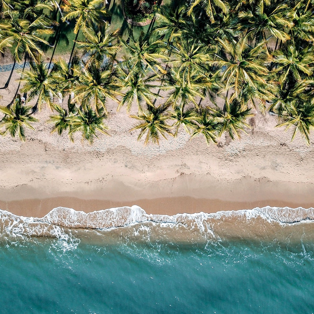 Australian Native Home Aroma and Shower Collection Gift Box I Sample Pack