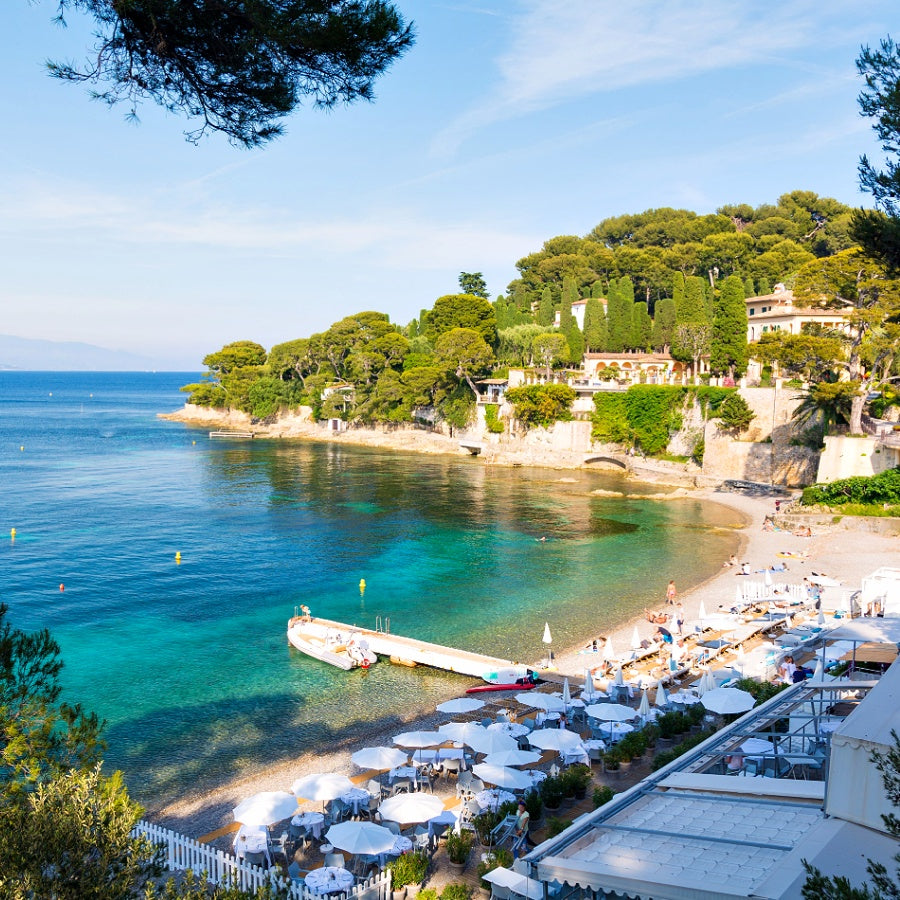 Paloma Beach Signature Pure Soy Melt