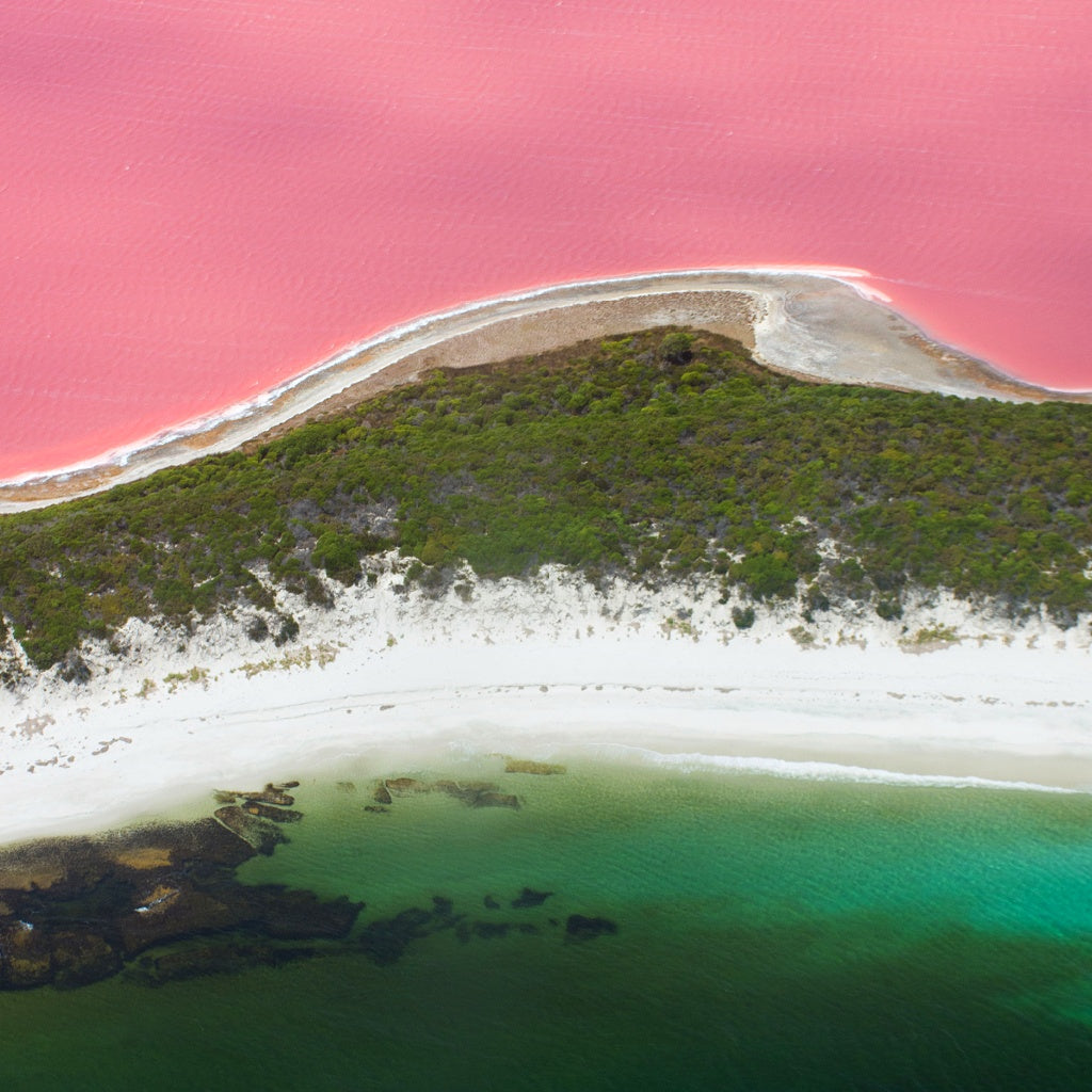 Pink Lake Hutt Lagoon Australian Signature Pure Soy Melt I Coastal Floral