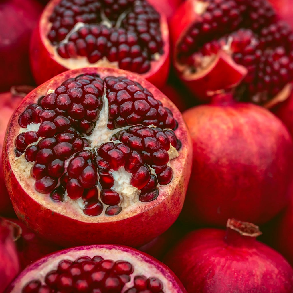 Coco Beach Signature Hanging Diffuser