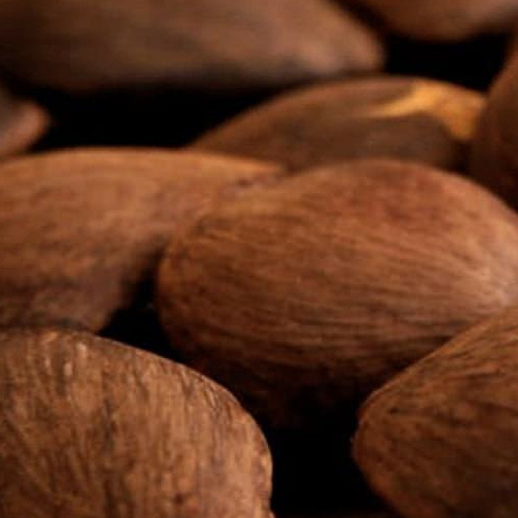 Skin Renewal Essential Herbal Healing Body Cream