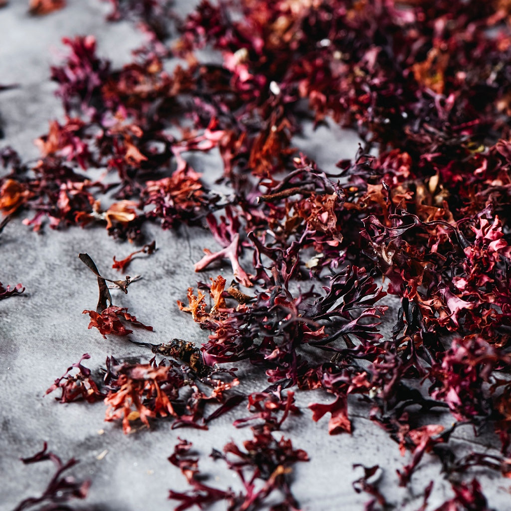 Omega C Serum Oil Essence I Plant Botox Collagen