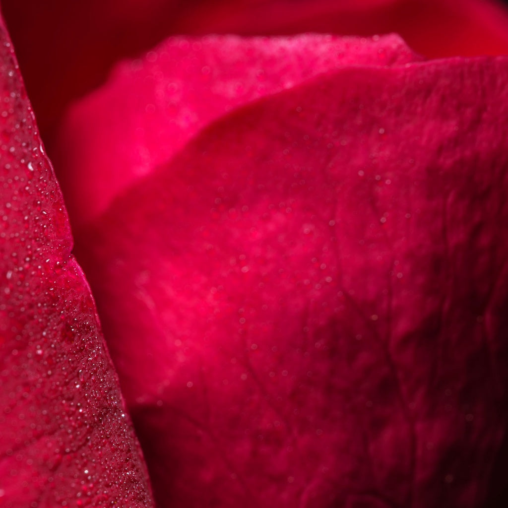 Oxford SPA Signature Diffuser Oil