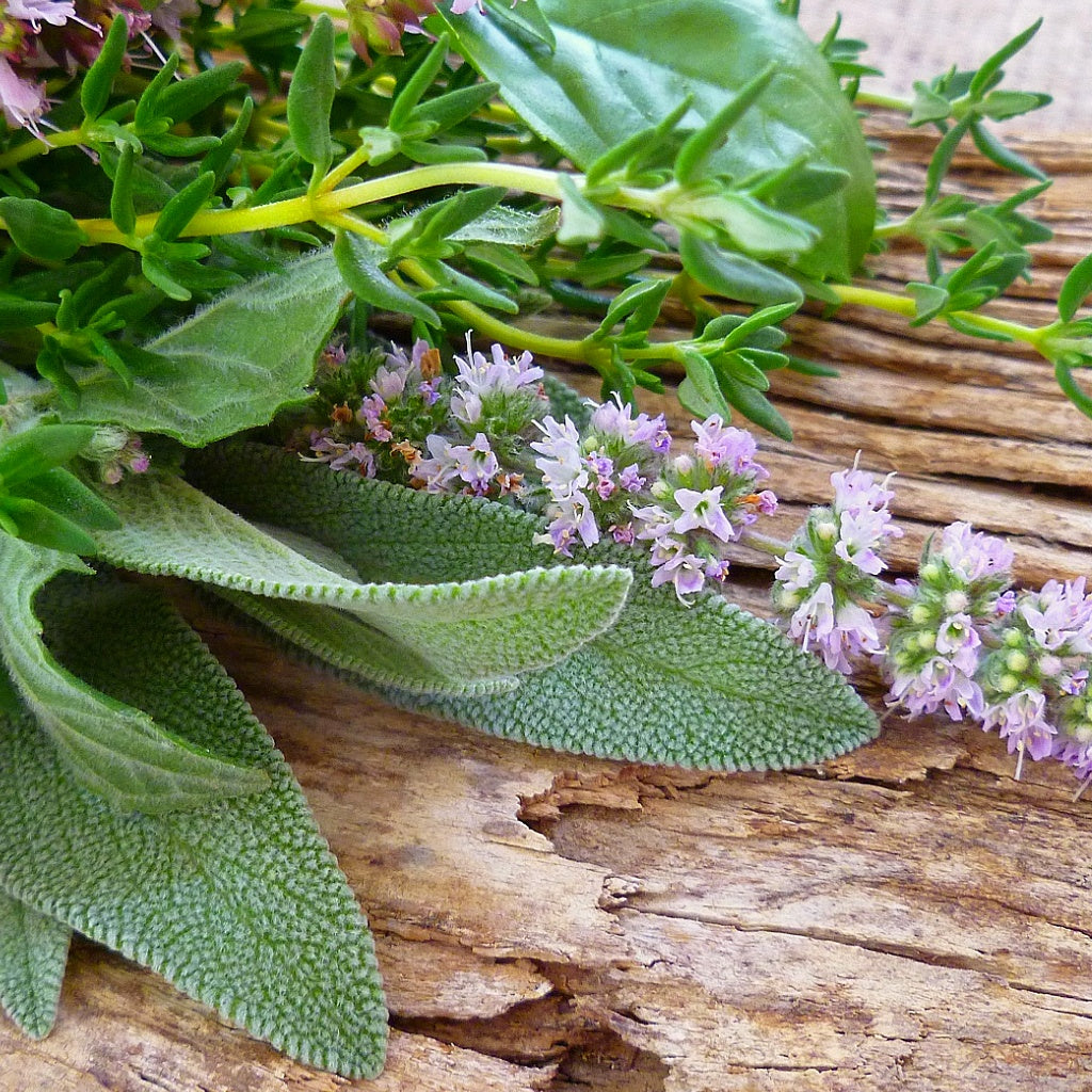 Sage Wood Signature Pure Soy Melt