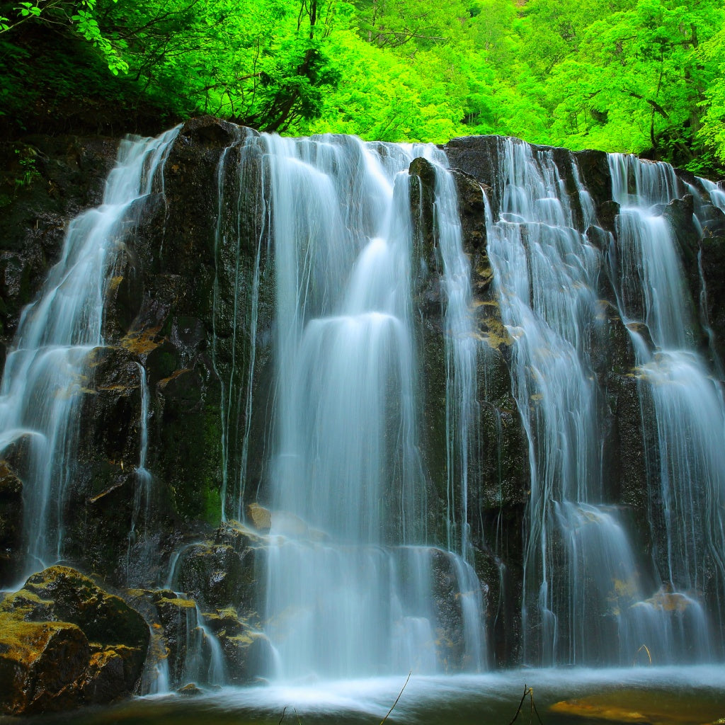 Sanctuary I Sweet Orange Signature Pure Soy Candle