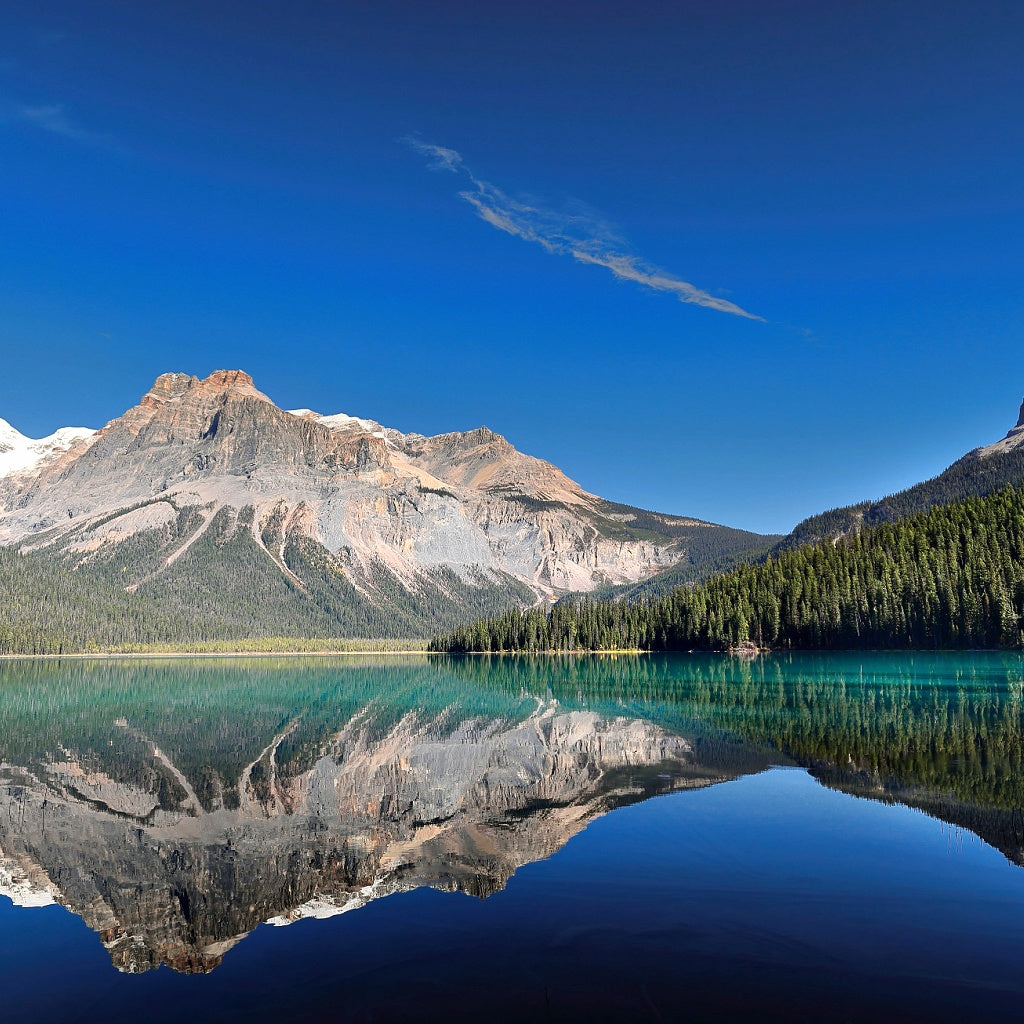 Sea+Earth Signature Pure Soy Melt