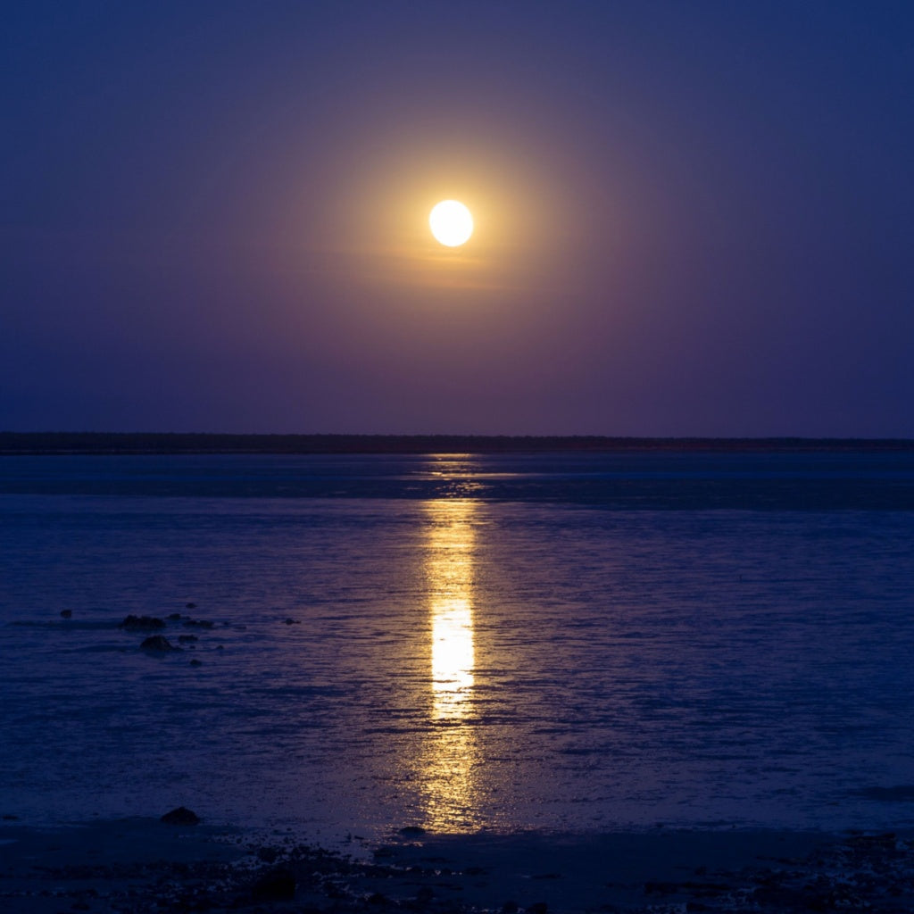 Staircase To The Moon Roebuck Bay Australian Signature Pure Soy Candle I Coastal Sea Air