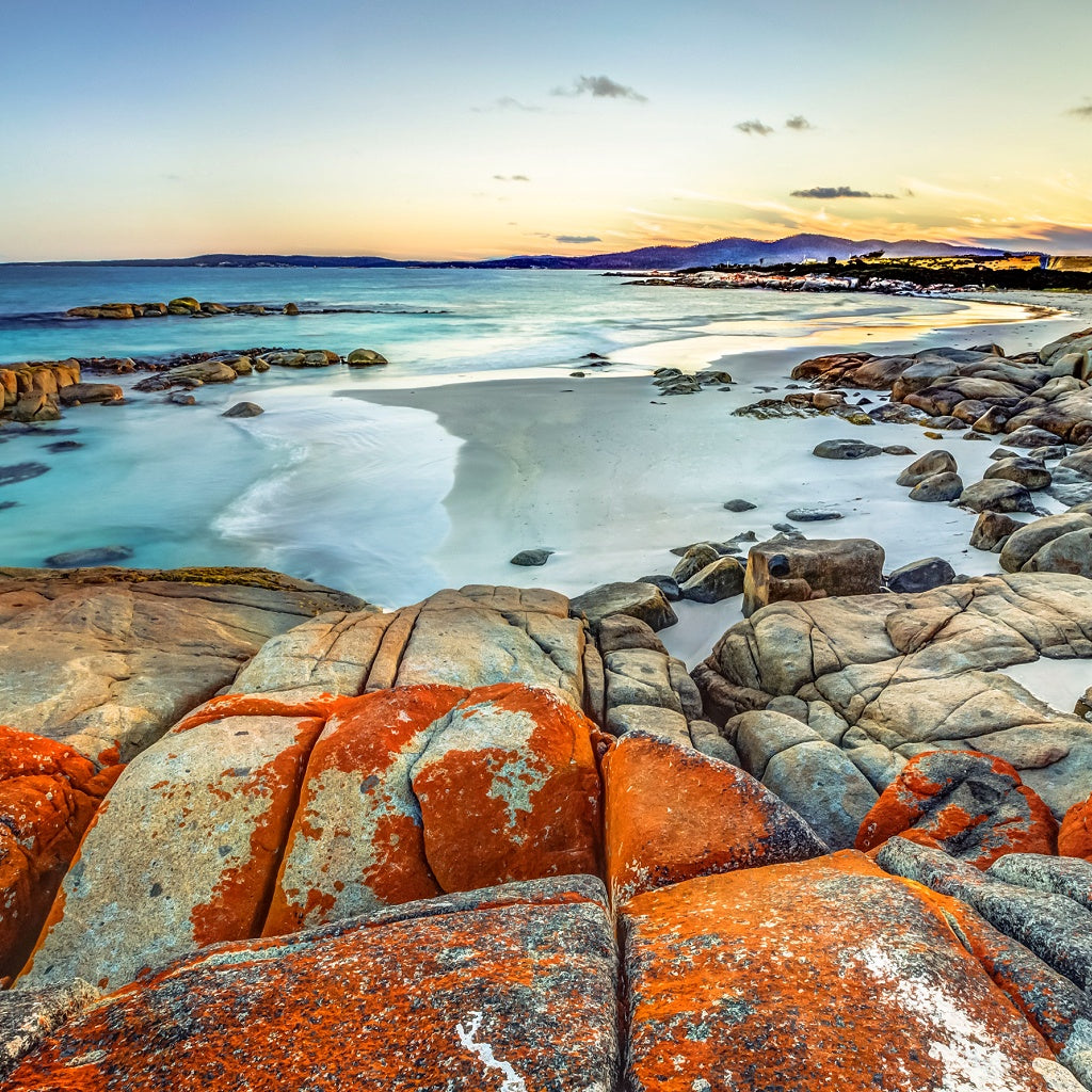Bay of Fires Larapuna Australian Signature Diffuser Oil I Coastal Sea Air