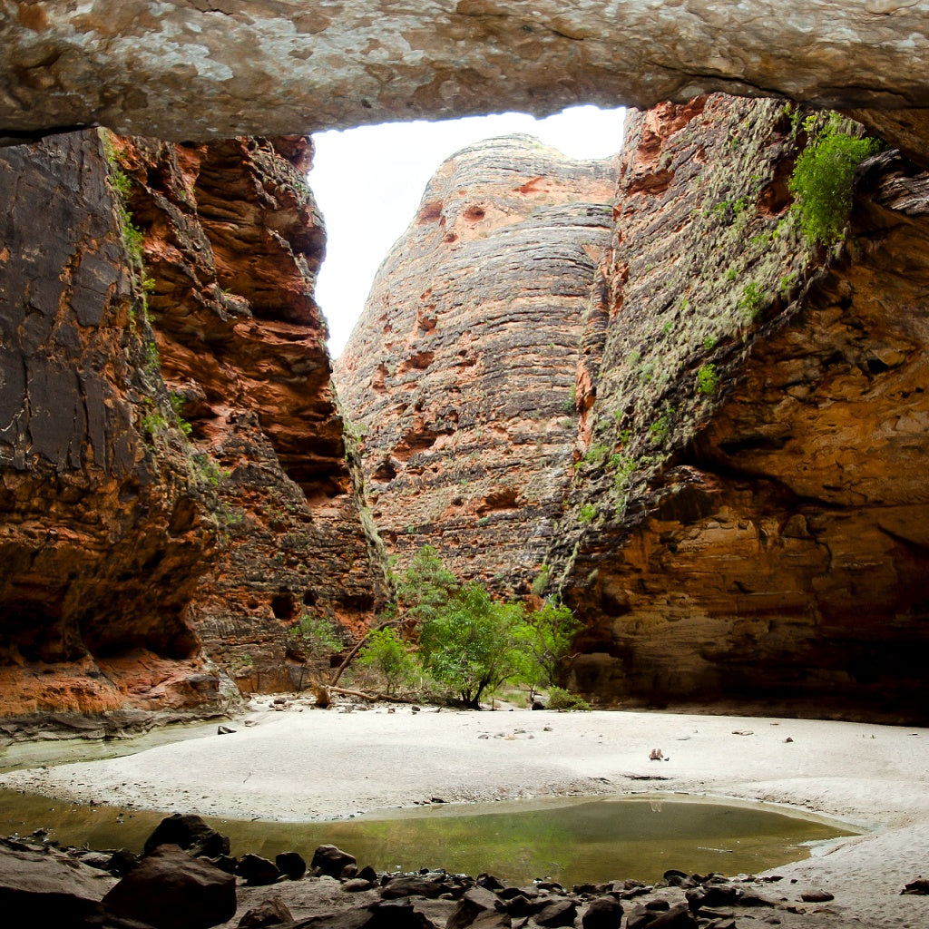 The Kimberley's Bungle Bungle Signature Interior Room Linen Mist I Outback