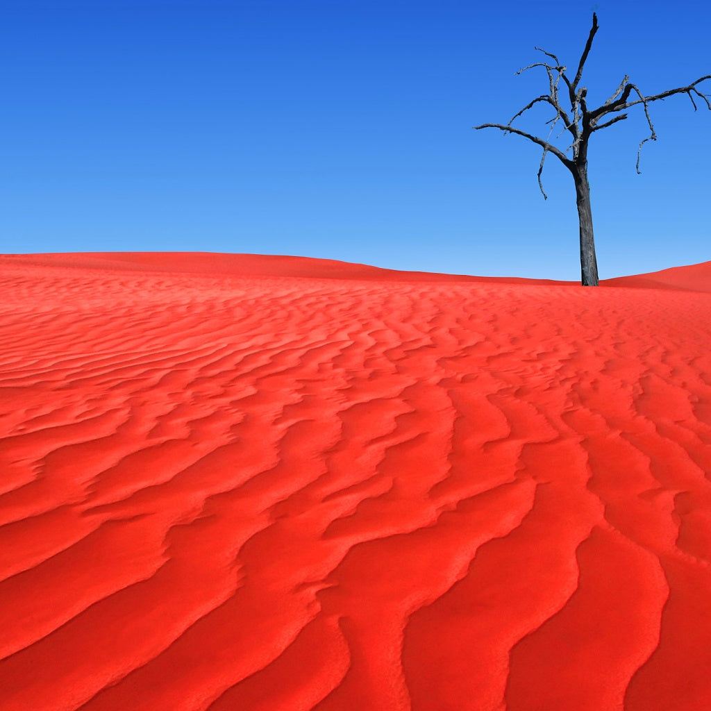 The Red Centre Australian Signature Pure Soy Candle I Outback